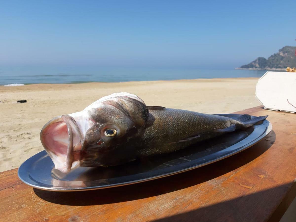 Bungalow Minonthebeach Gaeta Ngoại thất bức ảnh
